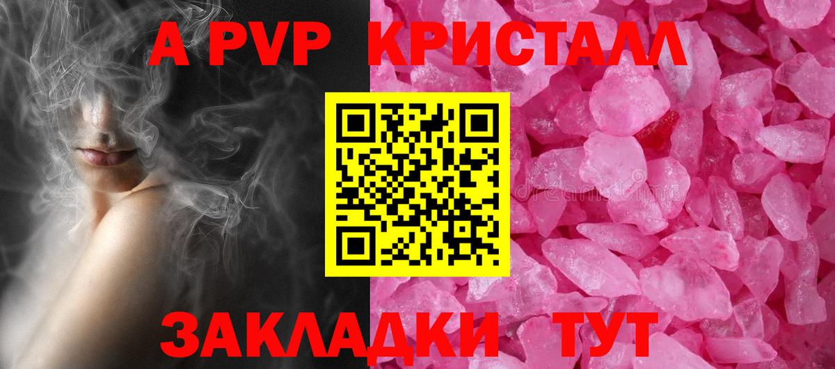 Альфа ПВП СК КРИС Ставрополь