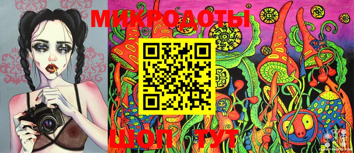 Псилоцибиновые грибы Cubensis Ставрополь